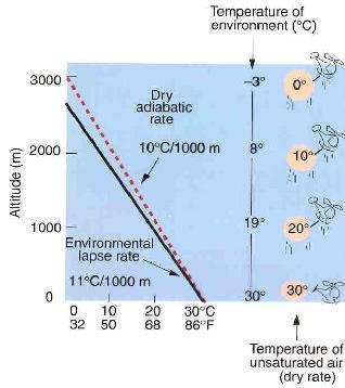 환경기온감률이커짐에따라대기는점점불안정짐 ( 지표와상공기온의차이가클때발생 ) Moist