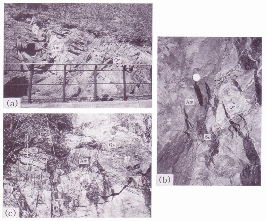 22 김정환 다. 가장중요한것은이러한암석들이접하고있는주변암석과의상호관계이다. 제천남부의덕산지역에서는염기성암이석회암층과규암층을관입하고있어서이들은석회암층보다는후기의관입암이분명하다 (Khim et al., 1996; 그림 8).