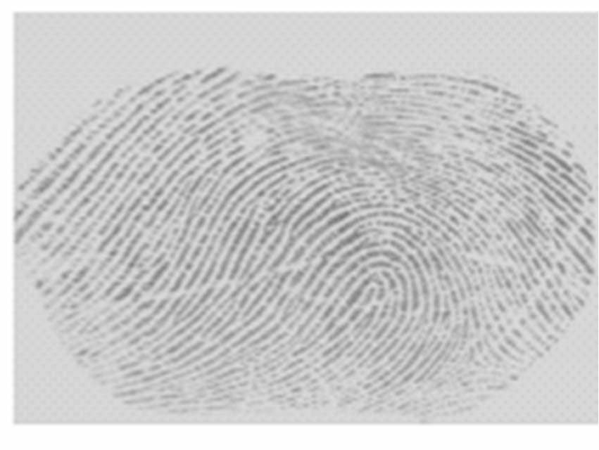 소형지문센서의문제 Only the touched area produces a part of the whole fingerprint image.