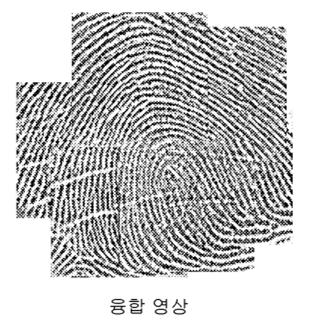 fingerprint images By rubbing [ 관련특허 ]