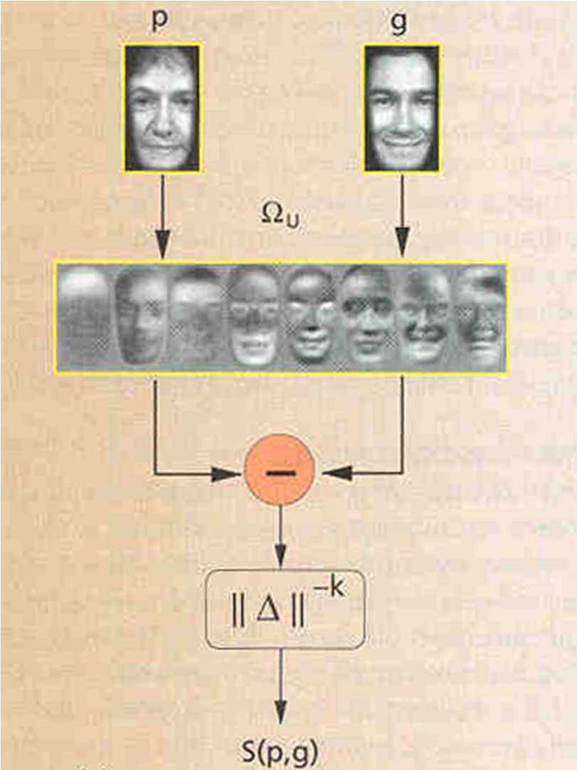 Face Recognition by Statistical Features Statistical Methods : PCA,