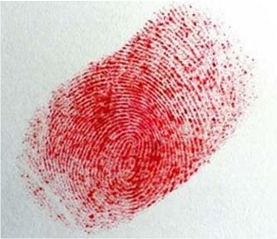 7. 생체정보의 보호 Woman fools Japan's airport security fingerprint system