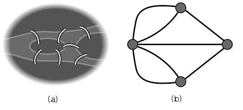 제2장네트워크분석법개요 15 지역들을연결하는다리를링크(link) 로생각하면 < 그림 7(b)> 와같은그래프를 얻을수있음. - 그래프라는용어가처음소개된것은 1878 년 Nature 에게재된 Sylvester 의논 문이며 3) 그이후에지속적연구를통해다양한분야에서그래프이론이발전 적용되고있음.
