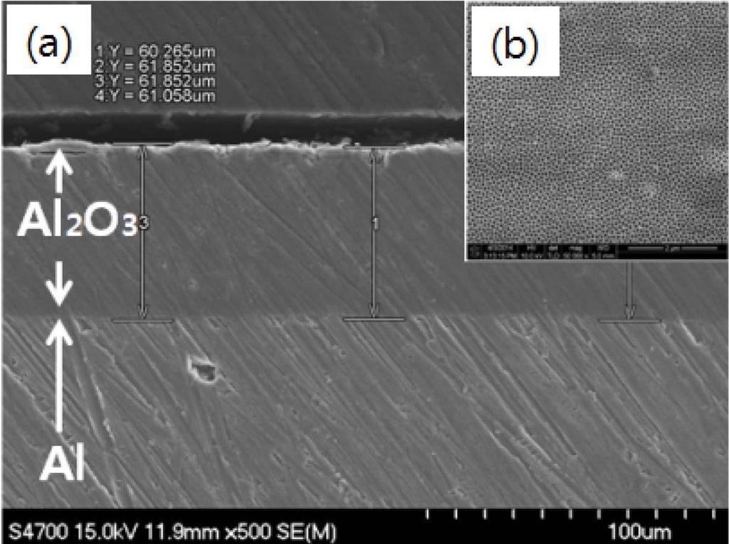 통해확인되는바와같이, 산화알루미늄피막은다수의연구결과 12,13) 와유사한매우작고균일된많은수의다공성피막형태로성장하였음이확인되었고, 두께는 60 µm 내외로측정되었다.