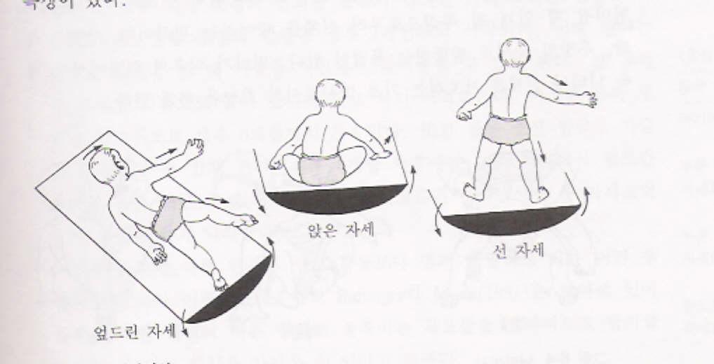 경사반사 흔들리는경사면에대하여신체의무게중심을조절할때사용 순서 엎드린자세 ->