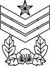 Non-commissioned Officer ( 부사관 ) In 1996, the Non-commissioned Officers' insignias were revised.