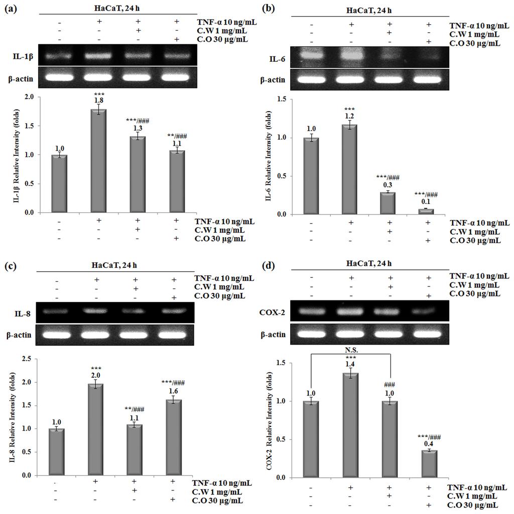 14 Korean Society for Biotechnology and Bioengineering Journal 32(1): 9-15 (2017) Fig. 3. Effects of chamomile extracts on IL-1β, IL-6, IL-8 and COX-2 mrna expression levels in HaCaT cells.