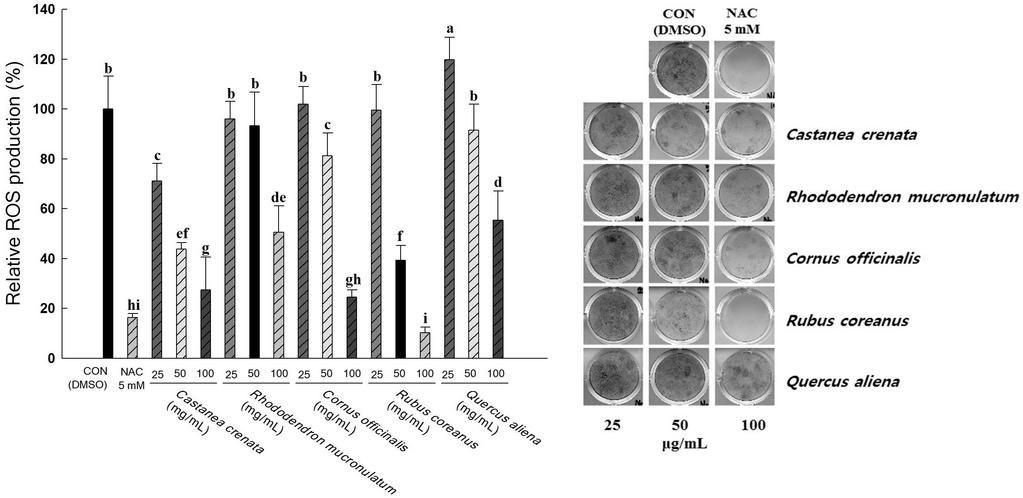 526 최선일 이종석 이사라 이혜진 여주홍 조봉연 이진하 김재민 정태동 최승현 김종예 강석남 이옥환 Fig. 2. Effect of the ethanol extracts of 5 species in Korean native forest on lipid accumulation in 3T3-L1 cells during the adipogenesis.