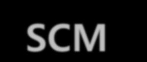 II. SCM 전략및사례 SCM -