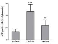 Effects of Prunus on renal advanced glycation end-products (AGEs) expression