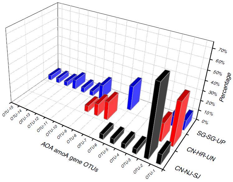 그림 4. 여러활성슬러지샘플에서의 AOA amoa 유전자 OTU 의상대적풍부도 및분포. 그러나 CN-NJ-SJ, CN-HR-UN, SG-SG-UP 샘플의 clone library 결과를바탕으로한 AOA amoa 유전자의다양성의사전평가결과는여전히흥미롭다.