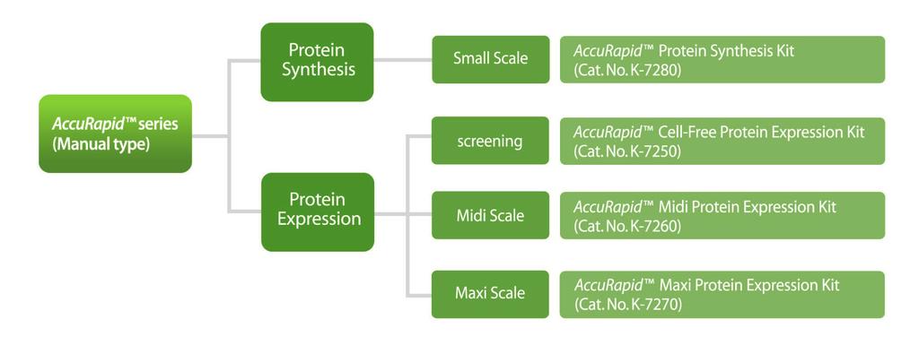 Selection Guide Overview 본제품군은매뉴얼타입의제품군으로, 용도에따라사용자가선택할수있도록단백질발현에서정제까지수행할수있는제품 (AccuRapid TM Protein Synthesis Kit) 과, 단백질발현만수행하는제품 (AccuRapid TM Cell-Free/Midi/Maxi Protein Expression Kit),