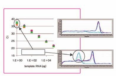 Real Time PCR 실험 2 premix 시약에내열성 RNaseH 첨가 ( 특허출원중 ) SYBR Premix Ex Taq (Tli RNaseH Plus) (Code RR42) 와 SYBR Premix Ex