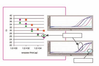 mrna를분해하기때문에, 고농도의 c를주형으로사용했을경우나타날수있는잔존 mrna에의한 PCR 반응저해없이보다정확한정량이가능하다.