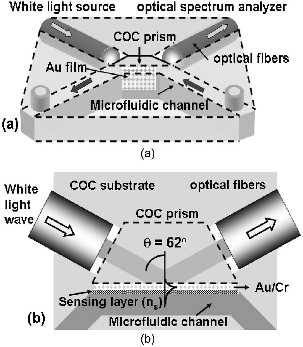 46 Á xá xá x 1. COC v w Ÿ SPR, (a) SPR e 3, (b) Fig. 1. Schematic f the COC prism based fiber ptic SPR sensr. (a) 3-D view f the prpsed SPR sensr chip, (b) Tp view.
