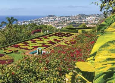 Funchal, botanični vrt portugalska??????? v ta del zatekle v 16. stoletju in se tako skrile pred pirati.