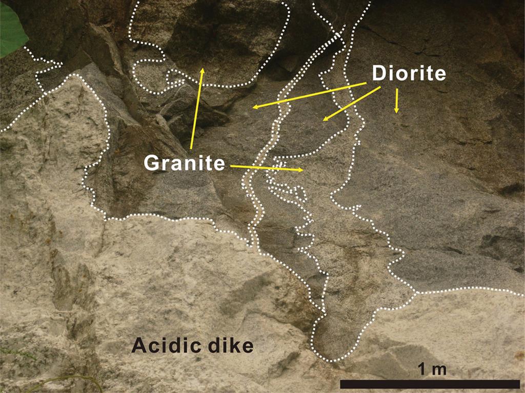 194 정원석 김윤섭 나기창 Fig. 2. A photograph showing field relationship between biotite granite, diorite and acidic dike. 관찰 할 수 있는데, 흑운모 화강암은 섬록암을 관입 하고 있으며, 다시 이 두 암체를 산성암맥이 관입하 고 있다(Fig. 2).