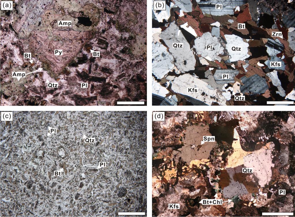 산성암 맥의 입자 크기는 50 µm 이하로 매우 작고, 주 구성 광물은 석영, 사장석, 흑운모이다(Fig. 3c). 주원소, 미 량원소 및 Sr-Nd 동위원소 분석을 위하여 추가로 두 개의 반상화강암 시료(CJ4 and CJ5)를 채취하였다 (Fig. 1b). 반상화강암의 가장 큰 특징은 장축의 길이 가 5 cm 내외인 분홍색 K-장석 반정의 산출이다.