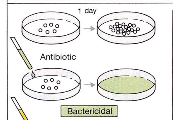 Classification III ; Bacterostatic vs.