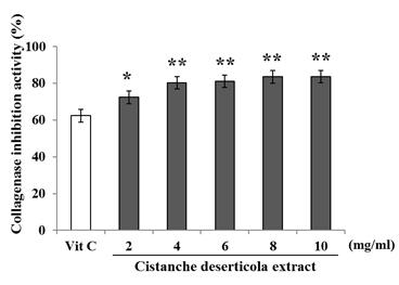 J Plant Biotechnol (2016) 43:492 499 497 Fig. 6 Dose-dependant collagenase inhibition activity of Cistanche deserticola extracts. Concentration of Vit C as positive control is 0.1mg/ml.