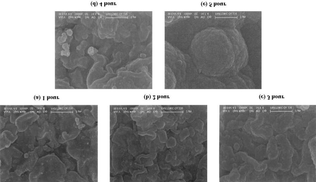 전기화학중합에의한폴리피롤적용탄탈륨캐패시터 253 Fig. 5. SEM photos of the surface of tantalum capacitor polymerized at the concentration of 0.5 mol/l pyrrole electrochemically over a polymerization time. Fig. 6.