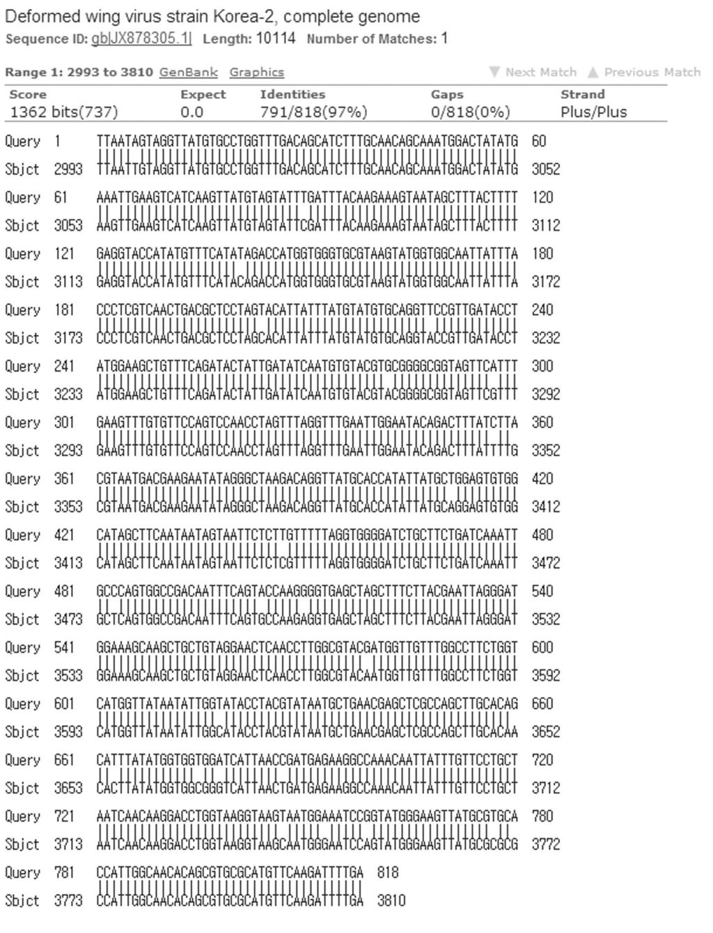 364 Fig. 3. DNA sequence homology between JX878305.1 and pbx DWV VP1. JX878305.1 is complete nucleotides of DWV deposited in GenBank.