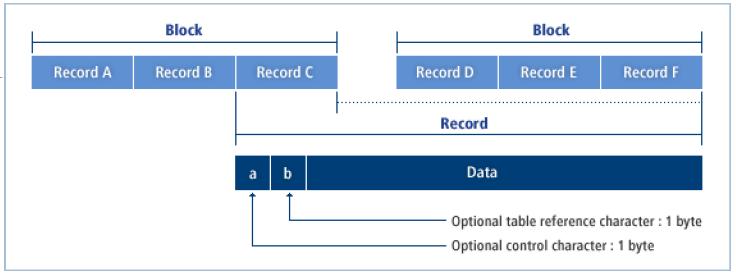 [ 그림 2.1] 고정길이레코드 가변길이레코드포맷 가변길이데이터셋에포함되어있는각각의레코드는서로길이가다를수있다.