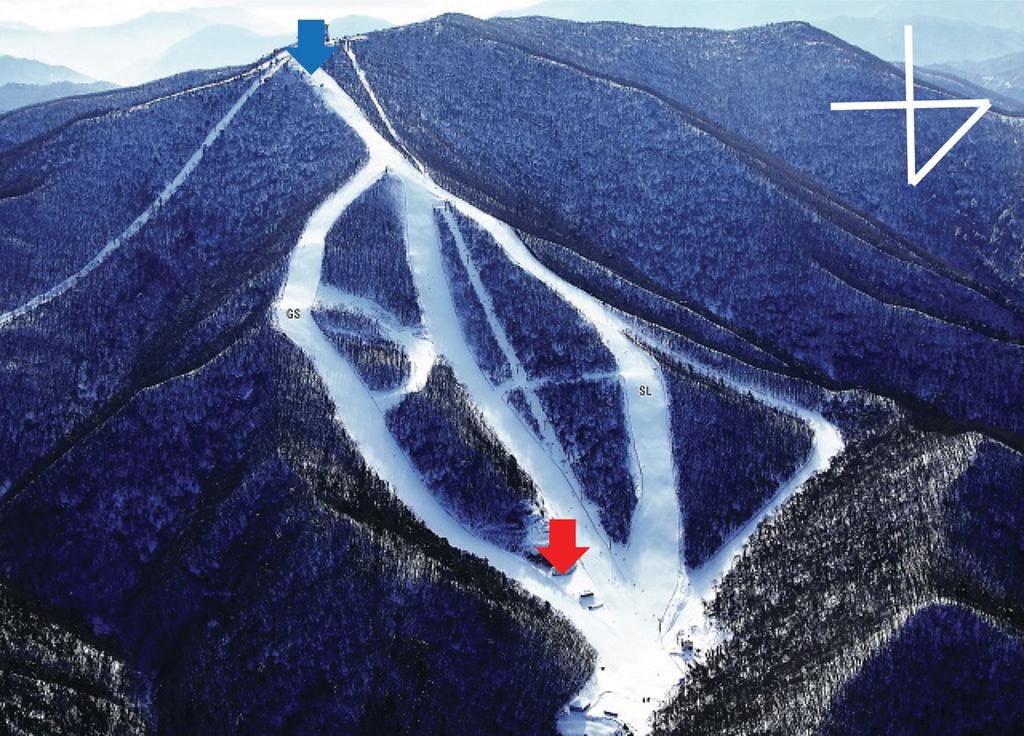 전혜림 김병곤 은승희 이영희 최병철 403 Fig. 1. The image of alpine slope at the Yongpyong resort. Blue arrow indicates the start position and red arrow indicates the finish position.