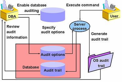 Audit 1.1. Audit 란? Auditing 기능은사용자의행동을감시하거나데이터베이스에관한통계자료를얻는목적으로사용된다. Auditing 기능을사용함으로써누가어떠한테이블을언제사용하고, 언제어떤작업을하는지를기록할수있다. 데이터베이스사용자는일정한권한을부여받아데이터를조작 (Insert, Update, Delete) 하거나조회 (Select) 할수있다.
