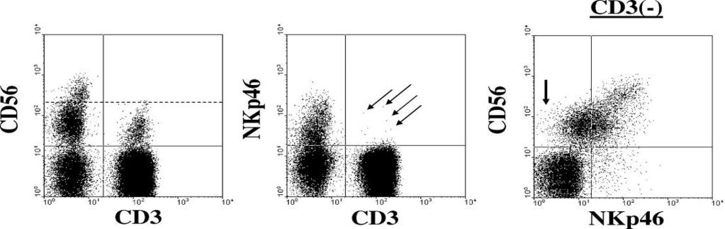 Human NK Cells Flow cytometry of PB lymphocytes from healthy subject NK-DC interaction