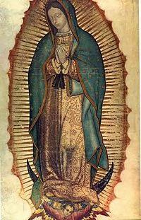 Fiesta de la Virgen de Guadalupe Día 11 Día 12 8:30pm Santo Rosario 9:00am y 12:00 Misa en Ingles 9:30pm Danzas 6:00pm Procesión - Danzas 10:00pm Representación de las apariciones 6:30pm Santo