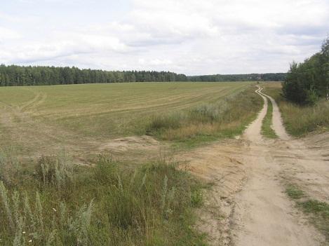 3 그림 3 오카강 (Река Ока) 4 그림 4 모스크바강 (Река Москва) 5 주대부분의지역은삼림스텝지역이며영토의 40% 정도가숲으로이뤄져있다.
