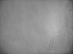 9 Bonding surface of Si-pyrex bonding specimen with respect to bonding temperature through optical microscope: (a) 150, (b) 175, (c) 200 Fig.