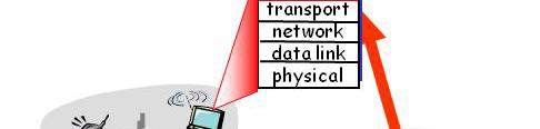 네트워크애플리케이션개발 애플리케이션프로그램 서로다른종단시스템
