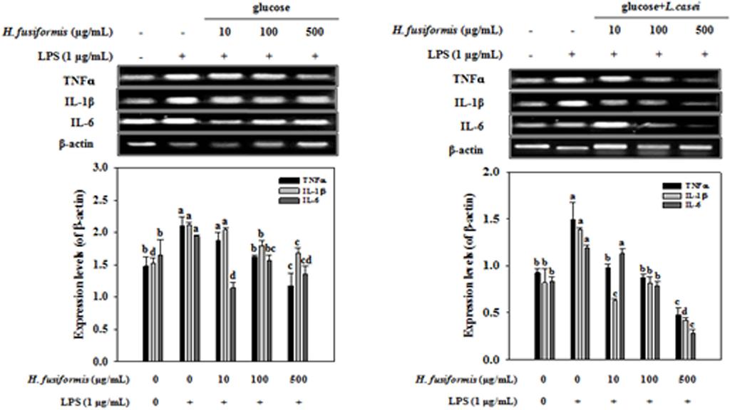 42 Korean Society for Biotechnology and Bioengineering Journal 30(1): 38-43 (2015) Fig. 3. Effect of ethanol extracts from fermented H. fusiformis with/without L.