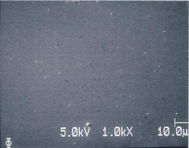 Example1 SAM Image [air TiO 2 (24 nm) Ti (1