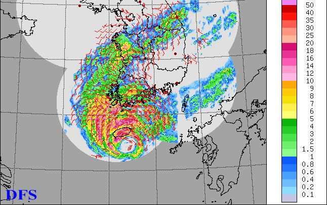 Typhoon Nari v Verification system Wind-profiler Dual-Doppler wind field RMSE in the 2006 summer 1) Wind