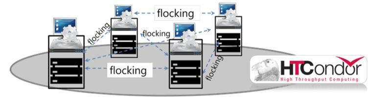 Flucking - HTCondor 의장점중하나 - 클러스터간작업연동기능 - ex> A.