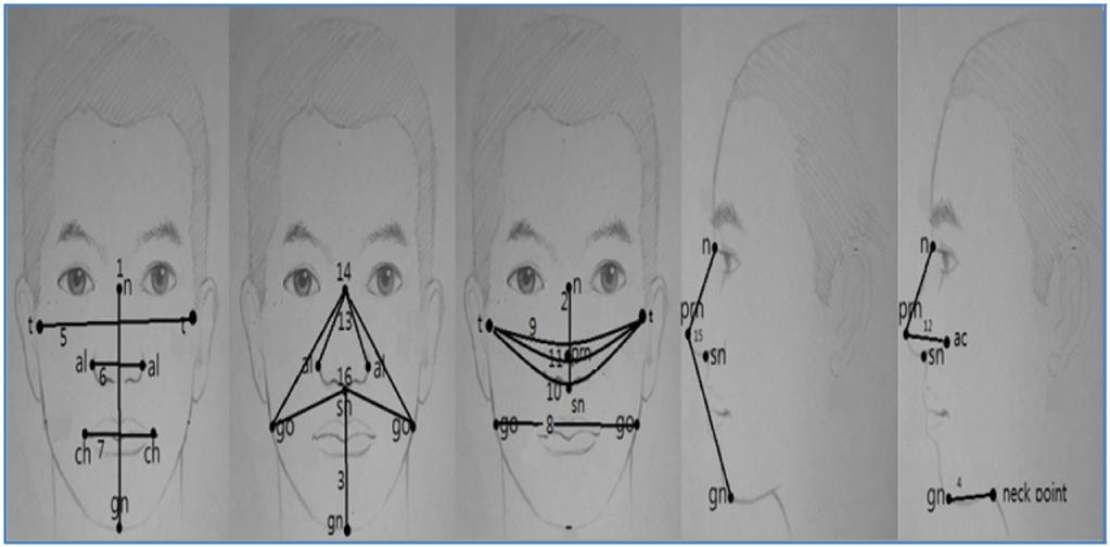 2) 안면부측정표지점먼저, 대상어린이가 Scanningroom(Figure 1) 에입실을하면, 머리카락으로인하여올바른안면부데이터측정이방해받지않도록두발정리용모자 (elastic cap) 을씌운후연구자가얼굴의표지점 (Luximon et al., 2010; Liu et al.