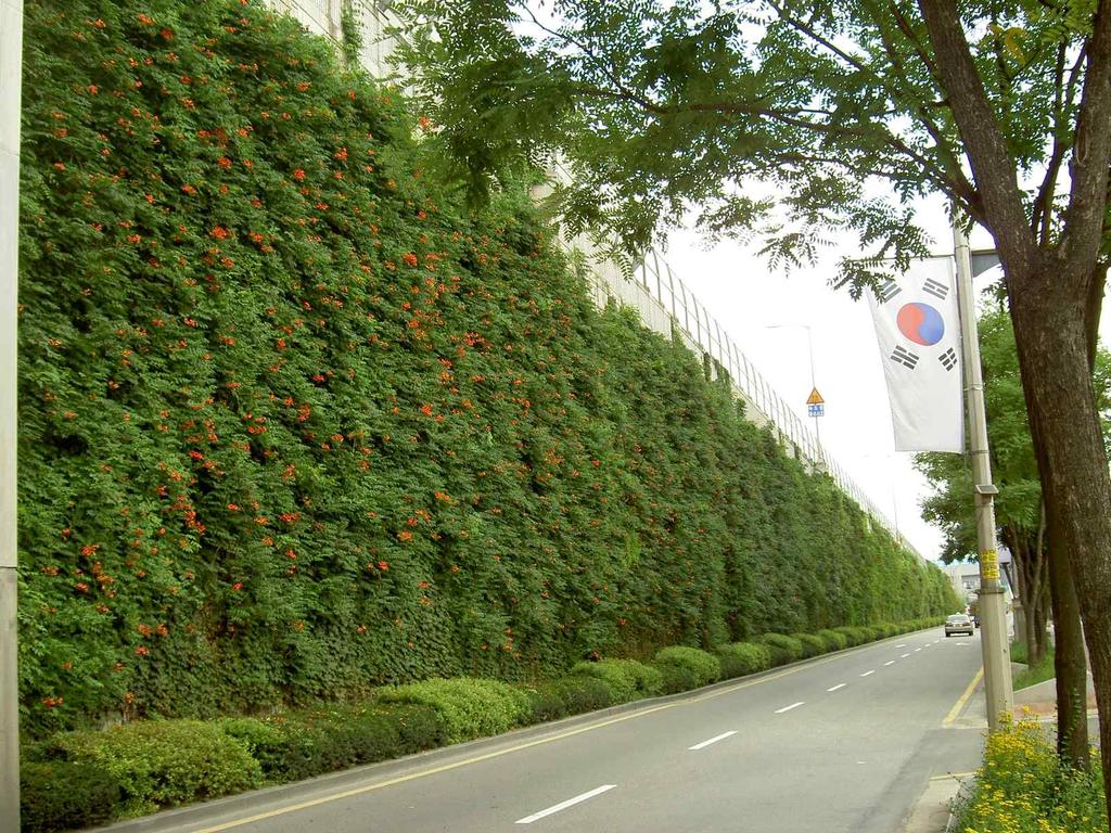 생활권 녹지 확충(옥상공원화) 또한 가로변의 녹지율을 높이고 도시경관 향상을 위하여 가로변 구조물 벽면에 덩굴성 식물을