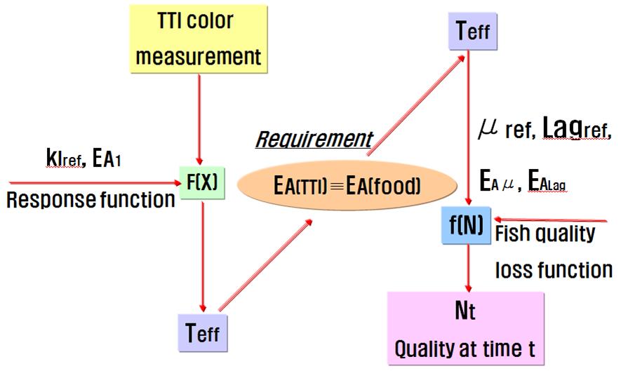 2. How to predict the food quality from TTI