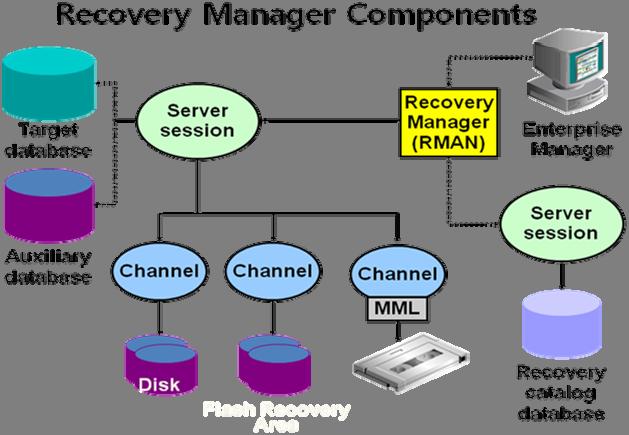 1. Oracle Recovery Manager(RMAN) 1.1. RMAN 이란? recovery manager (RMAN) 은오라클에서제공하는 backup/recovery solution이다. RMAN을이용하여많은 backup vender에서는 solution을제공하고있다. oracle도 EM을통해 RMAN backup을지원하고있다.