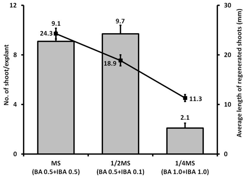 (B) Aspect of shoot multiplication depending on plant growth regulators BA and IBA under full strength MS medium.