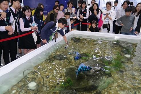 Yonhap (14/10/16) Démonstration Les enfants et les adolescents autour d'une piscine de poissons robots.