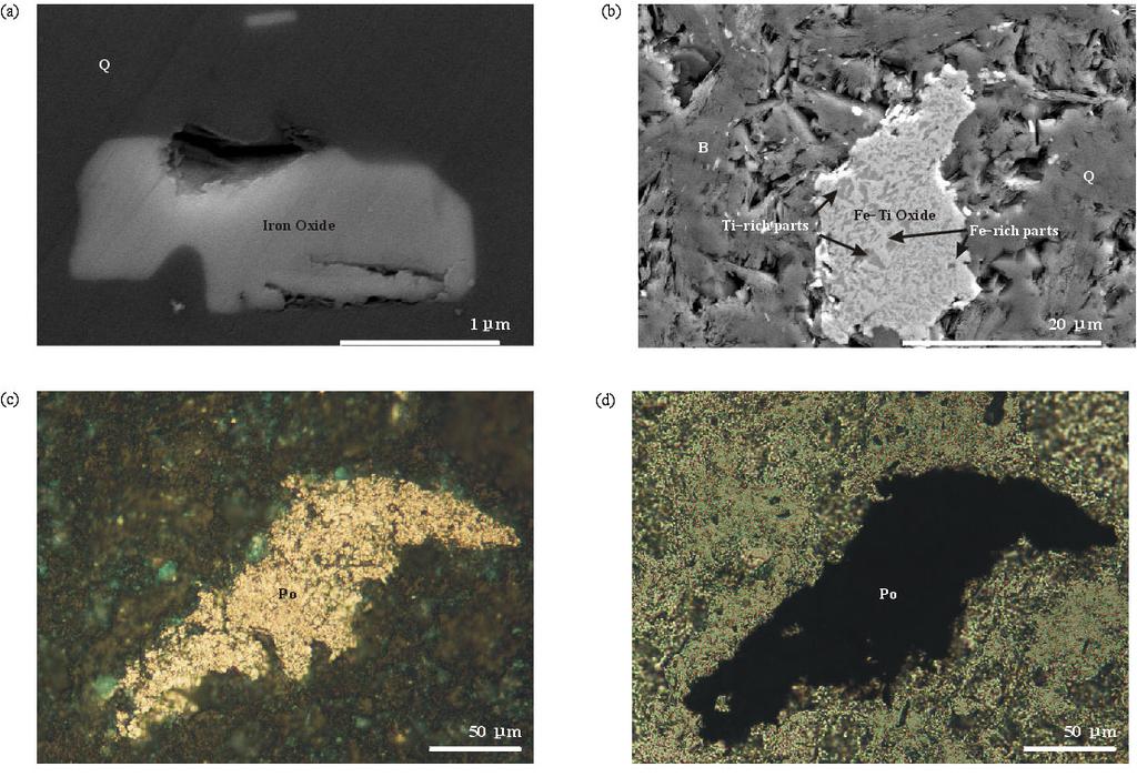 Fig. 5. Back-scattered electron image of scanning electron microscopy photographs of iron-bearing minerals for gray siltstone (a) and red shale (b).