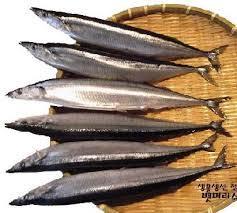 cúng. Theo quan niệm của ngƣời Hàn Quốc, những con cá này thƣờng không tốt và mùi vị cũng không ngon do mùi tanh nặng nề của chúng.