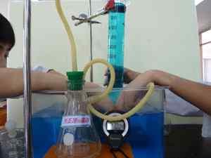 동물 산소발생량 (ml) 과산화수소 촉매실험사진 1회
