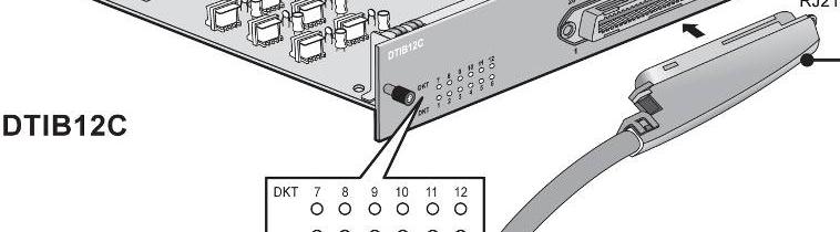전원소비량감소 주장치당 DTIB24C는최대 4장까지설치가능 Connector Type RJ21 Pin Number LED LD1 ~ LD12 는 3 가지색상으로 ON (