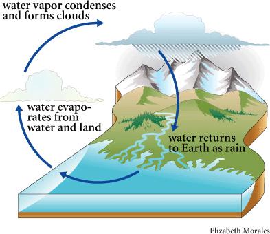 대기의조성 변량기체 o 적은질량비이나대기의특성에영향 : 수증기, 이산화탄소, 오존, 메탄, 에어로솔 수문학적순환 (Hydrological cycle) (1) 수증기 (Water vapor, H 2 0) o 지표의증발을통해주로공급 o 대부분지상 5km 이내에존재 o 고도증가에따라급격하게감소