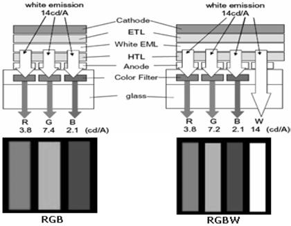 26 공업화학전망, 제 11 권제 5 호, 2008 Figure 10. WOLED+C/F 형성방식 (RGB, RGBW 의 2 가지화소형태 ) 로패널광효율이낮다는점이다. 이를개선하기위하여 RGB 3 pixel 에 white subpixel 을추가한 WRGB 4 pixel 구조가개발되어있다. 이에대한구조를 Figure 10에나타냈다.